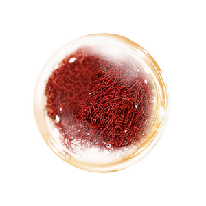 NovaRX® VeinTarget Nanotech Microneedle Patch 23 NovaRX® VeinTarget Nanotech Microneedle Patch