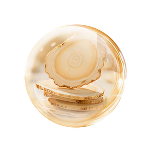 NovaRX® VeinTarget Nanotech Microneedle Patch 27 NovaRX® VeinTarget Nanotech Microneedle Patch