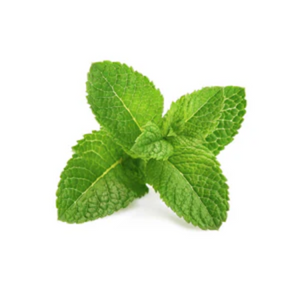 NovaRX® MagniSooth Nerve Therapy Roll On