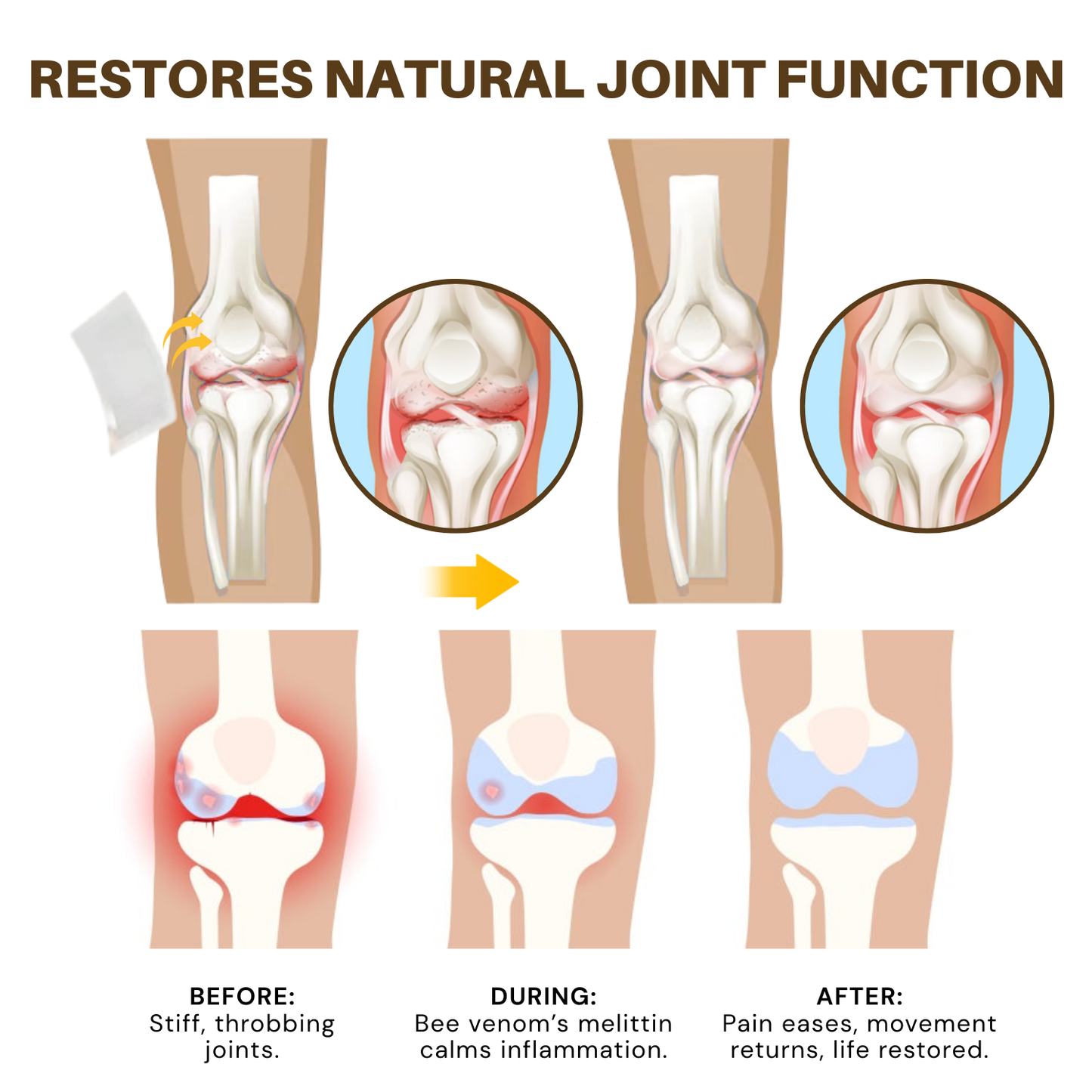 NovaRX® Bee Venom Joint Threapy Botanical Patch
